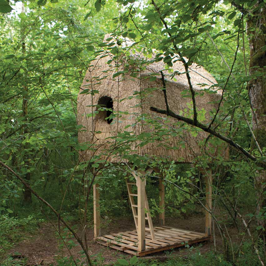 Cabane dans les bois, Réserve naturelle du bout du lac d'Annecy, Doussard