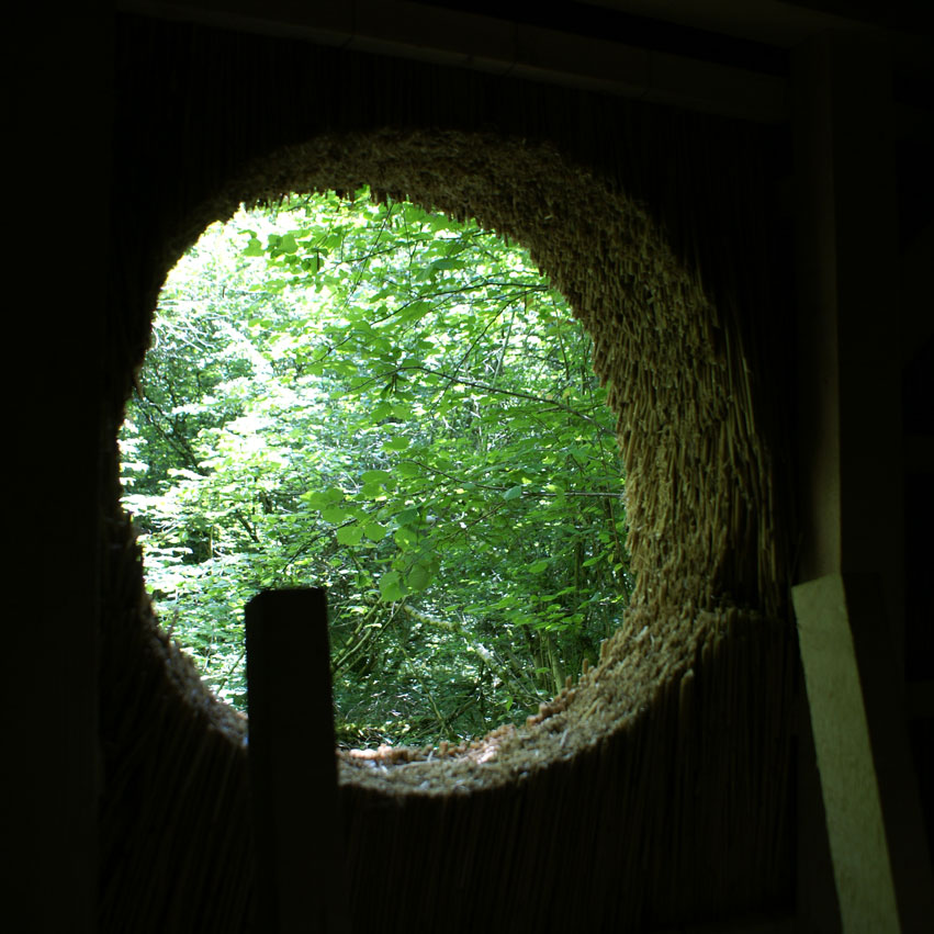 Cabane dans les bois, Réserve naturelle du bout du lac d'Annecy, Doussard