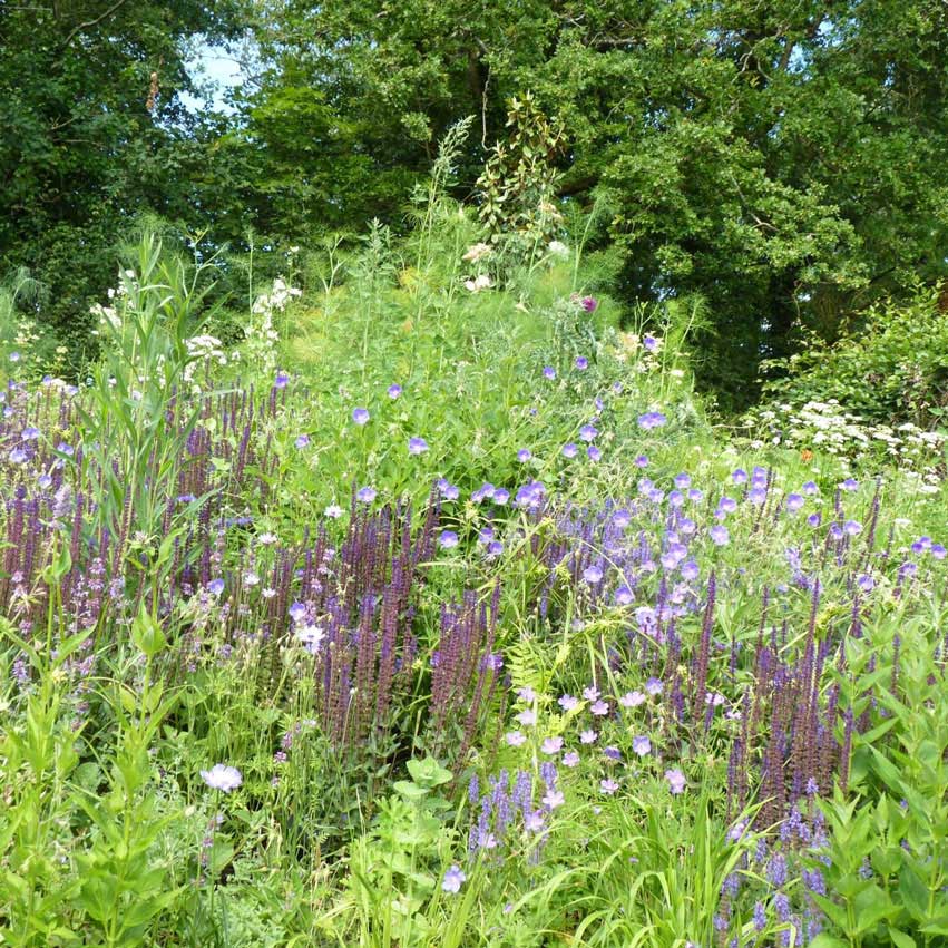 Festival des jardins de Chaumont-sur-Loire