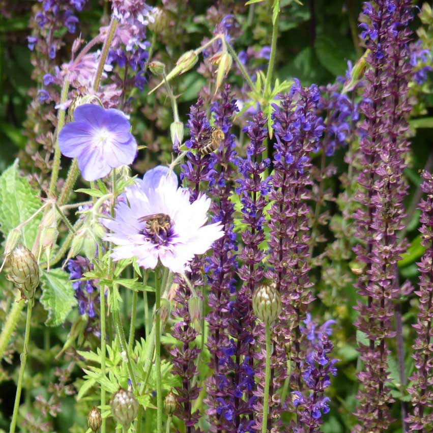 Festival des jardins de Chaumont-sur-Loire