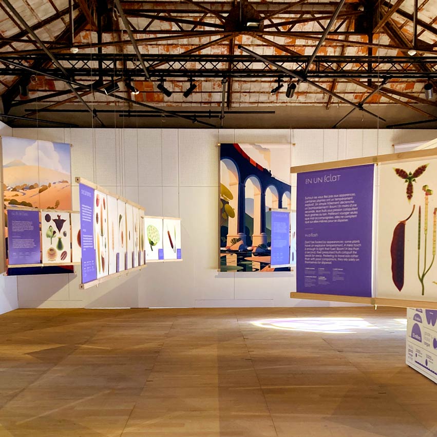 Exposition Graines, une prodigieuse odyssée, Maison rouge - Musée des vallées cévennoles 2024