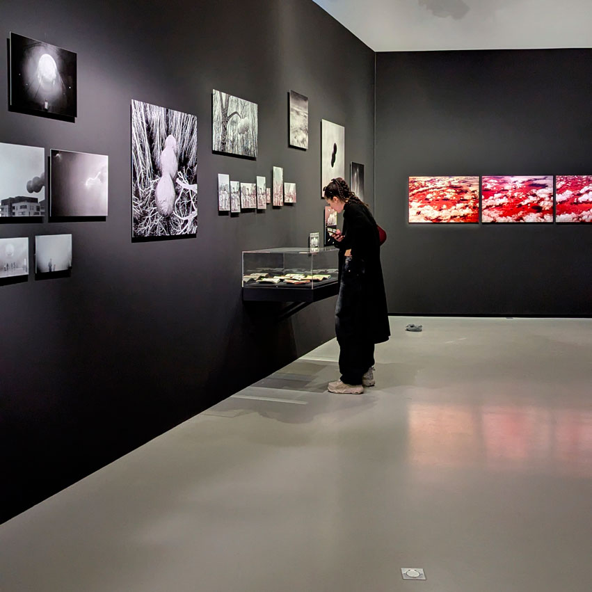 Exposition Paysages Mouvants, Jeu de Paume, Paris 2025