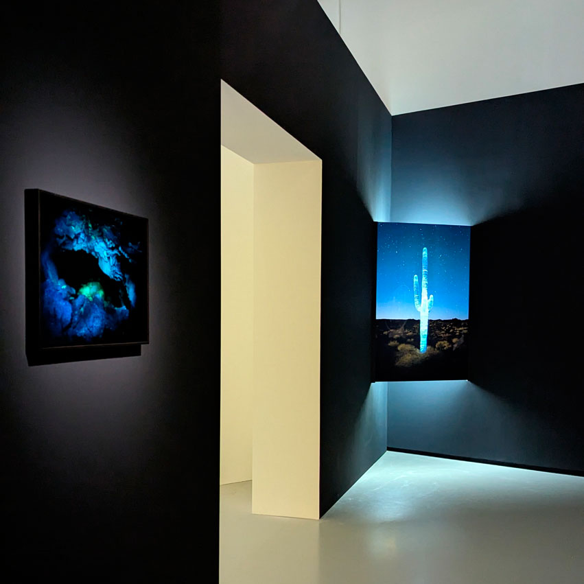 Exposition Paysages Mouvants, Jeu de Paume, Paris 2025